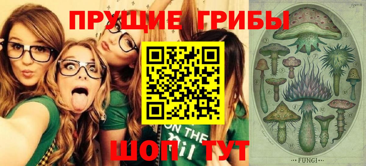 что такое   Вход с VPN  Баксан  Галлюциногенные грибы Psilocybe 