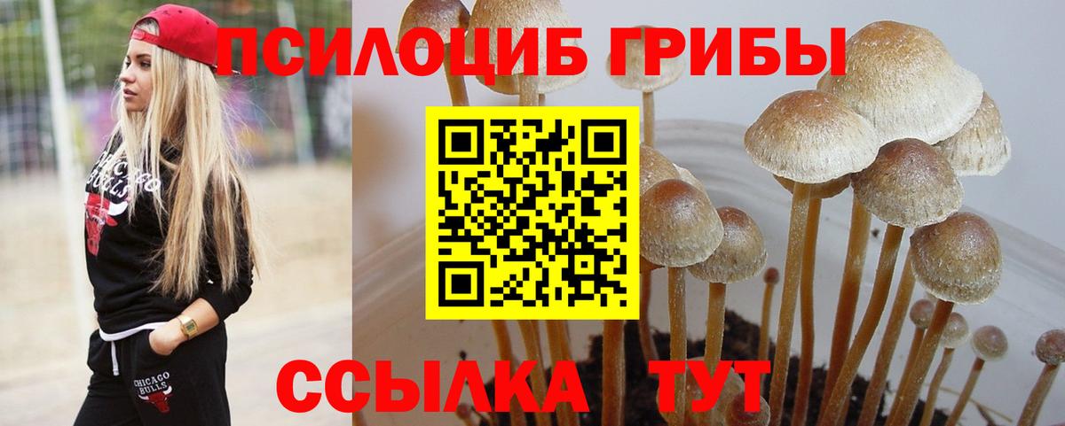 Галлюциногенные грибы Psilocybe Баксан