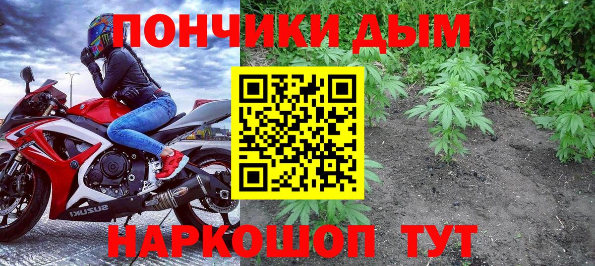 Шишки марихуана VHQ Баксан